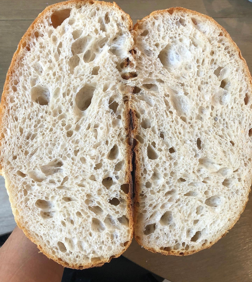Sourdough Starter Recipe.  Best sourdough starter.   