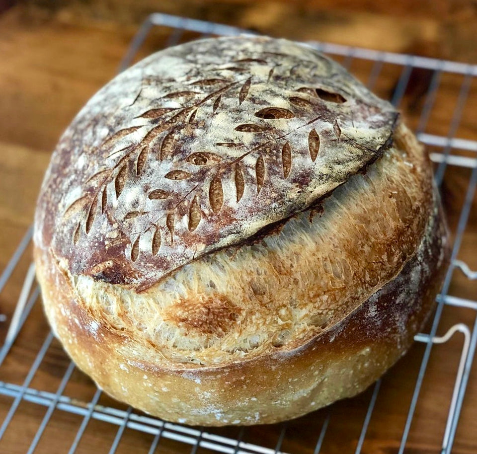 Sourdough Starter Kit Sourdough Starter for sale.   Buy Sourdough starter