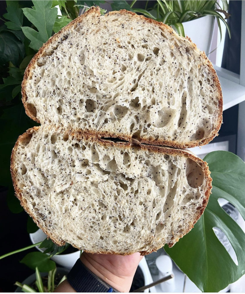 Boudin Tartine Parisian San Francisco Oldest Sourdough Starter Cut Loaf Crumb