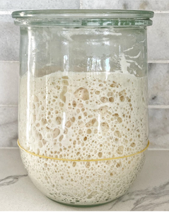 Sourdough Starter active gold rush kit. Buy San Francisco Sourdough Starter.  Sourdough Starter kit