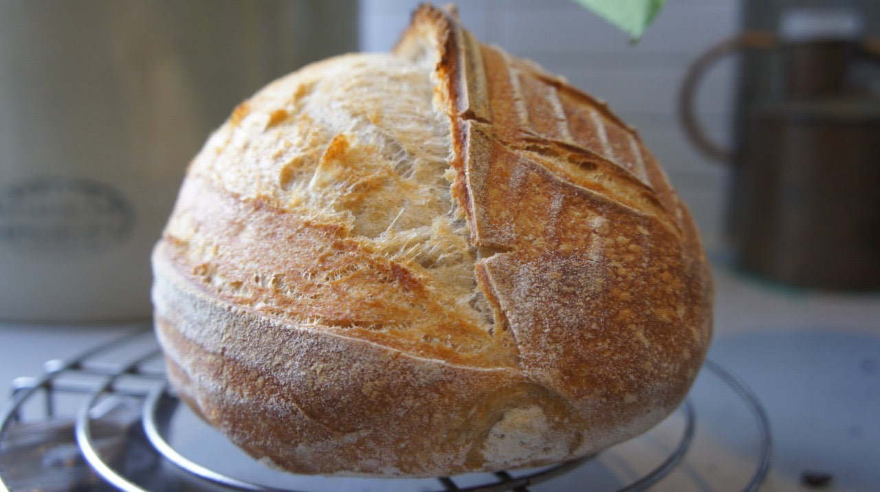 Sourdough Home - Original Salzburger Getreidemühlen